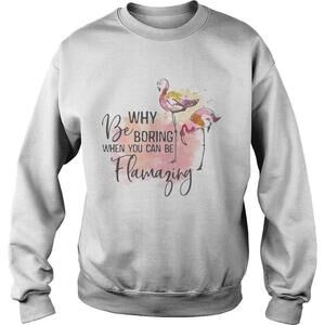 Flamingo Why Be Boring When You Can Be Llamazing Shirt